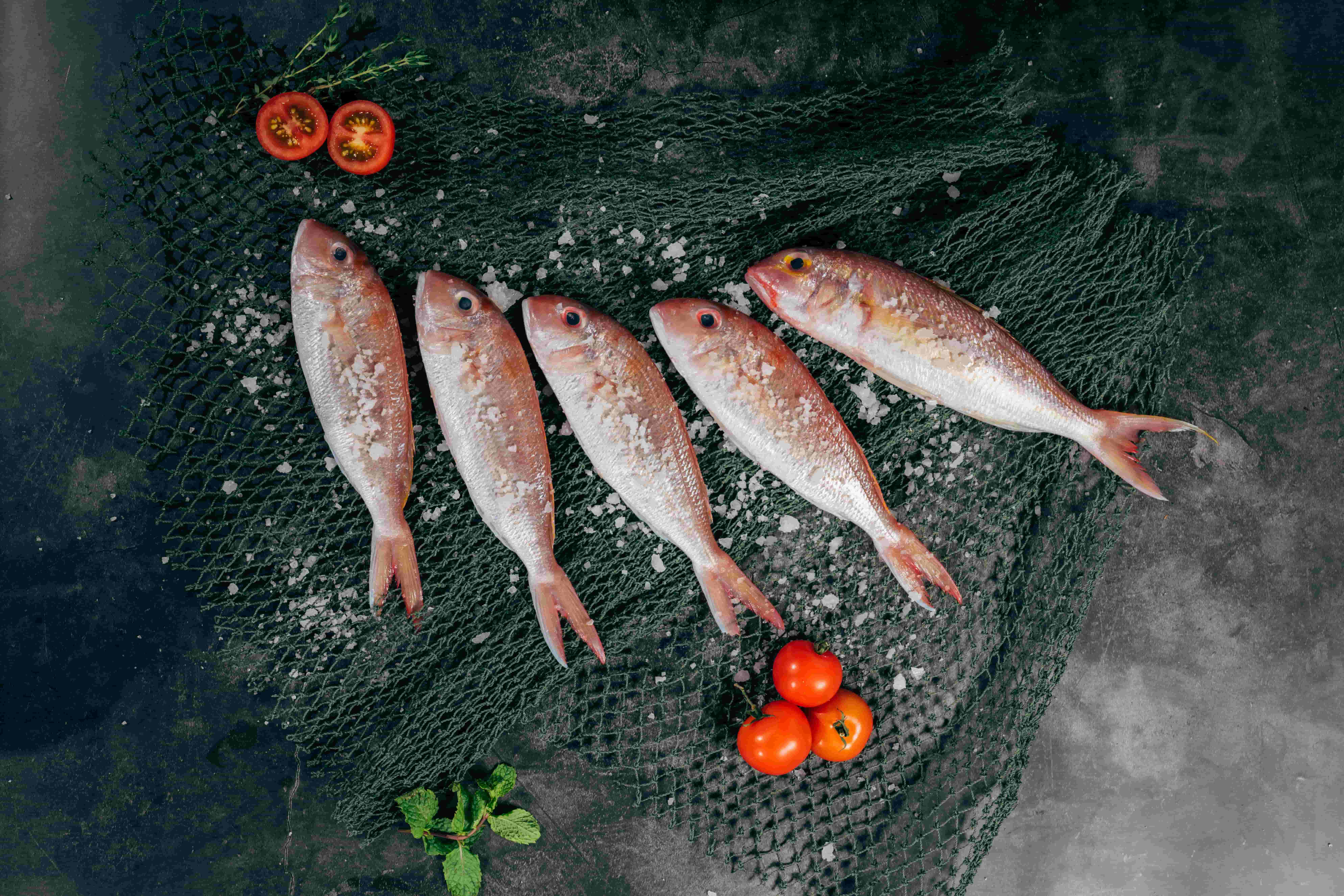 fish-restaurant